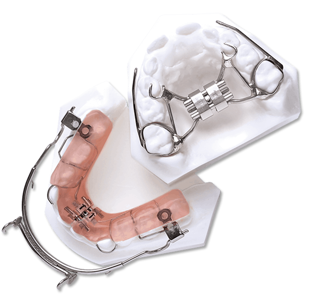 Fixed Orthodontic Appliances DynaFlex
