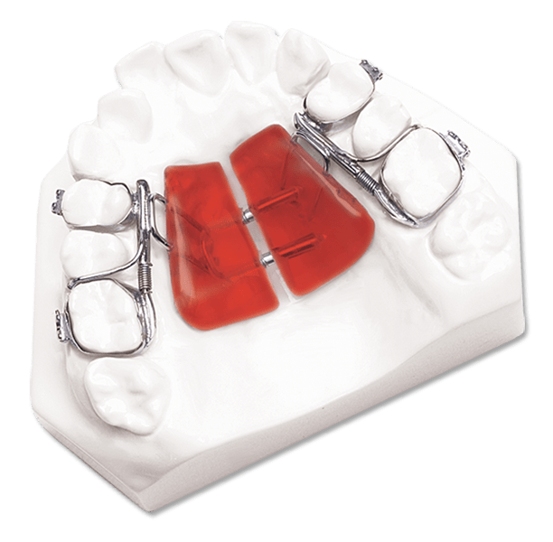 Fixed Orthodontic Appliances DynaFlex